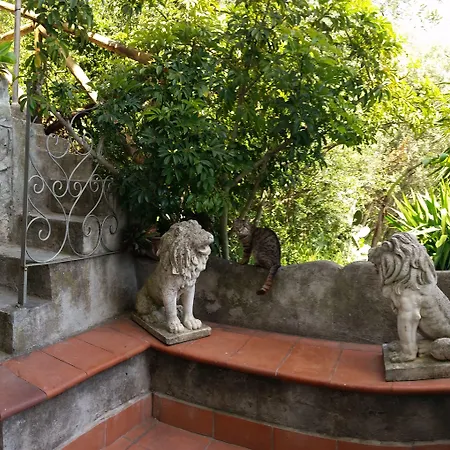 La Perla Otel Băile Herculane